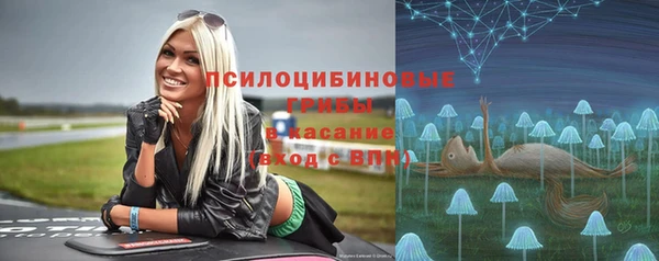 PSILOCYBIN Белоозёрский