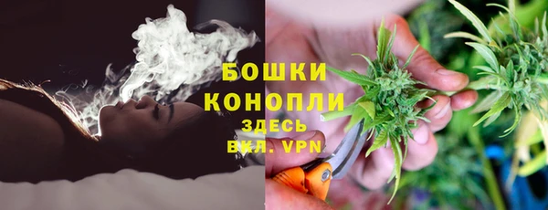 PSILOCYBIN Белоозёрский