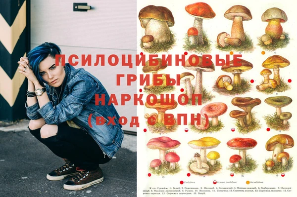 apvp Беломорск