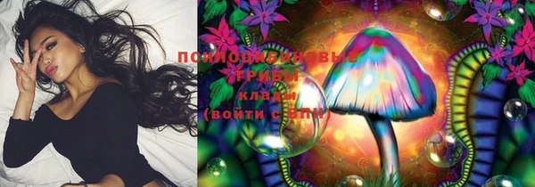 PSILOCYBIN Белоозёрский